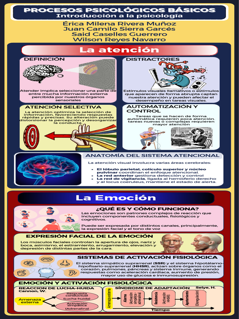 Atención, Emoción y Procesos Cognitivos | PDF | Percepción | Las emociones