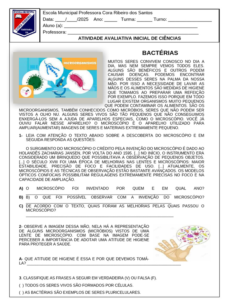 Atividades sobre Bactérias e Fungos 4º Ano | PDF | Fungo | Bactérias