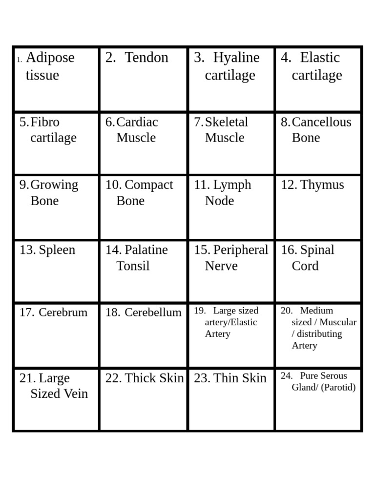 Histology Slides | PDF