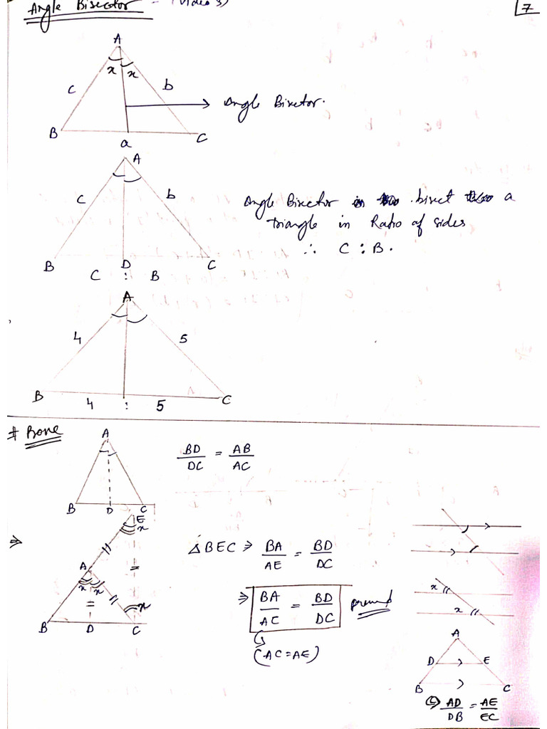 Triangle Notes 3 | PDF