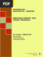Download Rekayasa Genetik Dan Teknik - Siti Julaiha by Siti Julaiha Grbner SN89351743 doc pdf