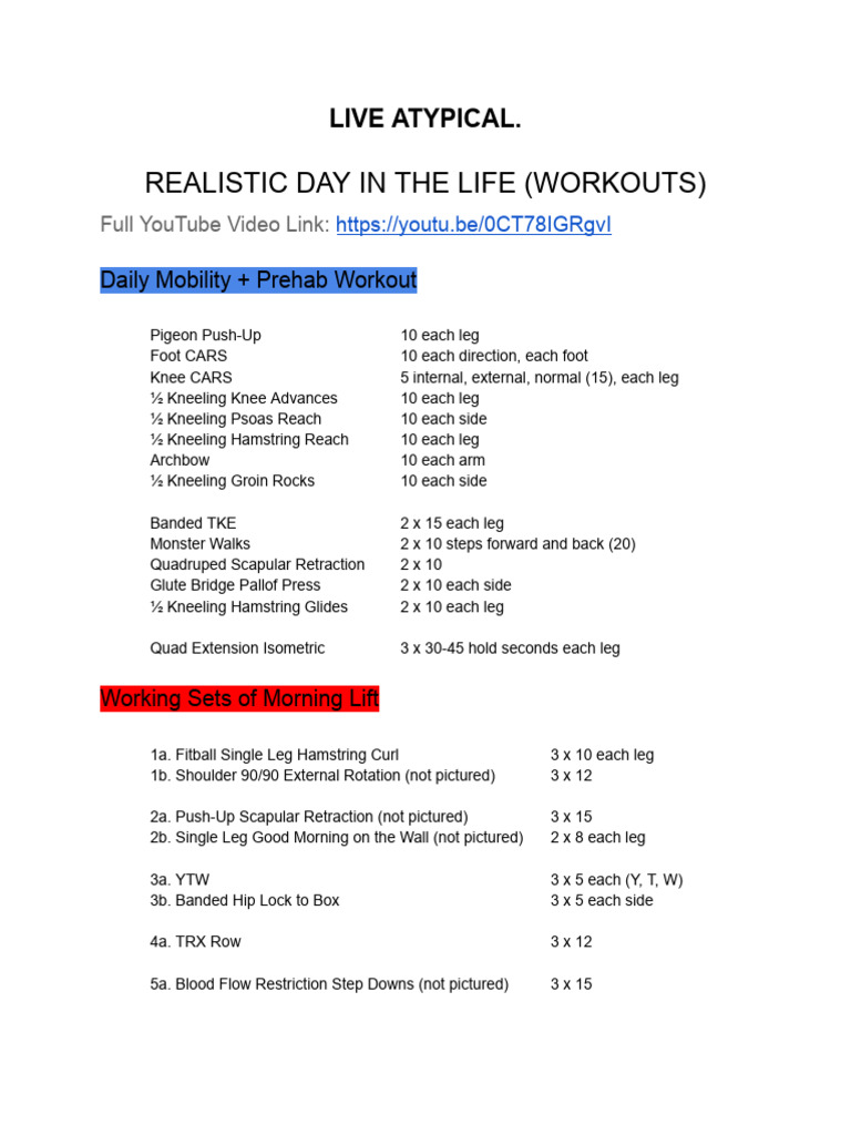 Realistic Day in The Life (Workouts) | PDF | Anatomical Terms Of Motion