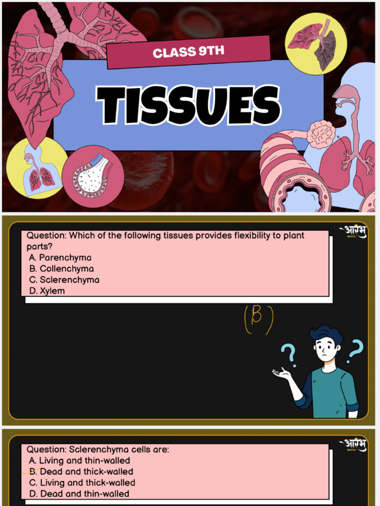 Tissues L2 | PDF