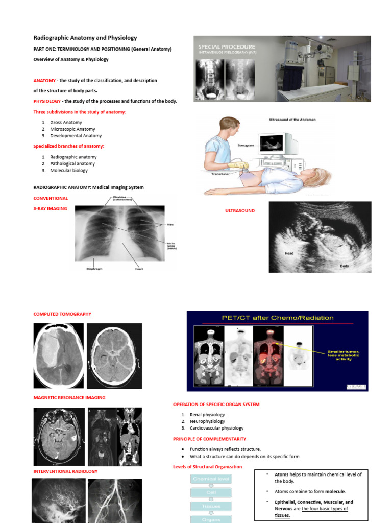 Radiographic Anatomy & Physiology Overview | PDF | Human Body | Homeostasis