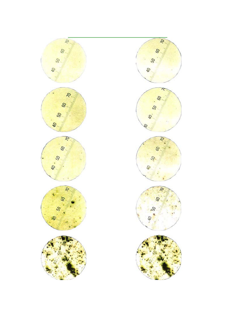 NAS Value and ISO Code Comparison Chart | PDF