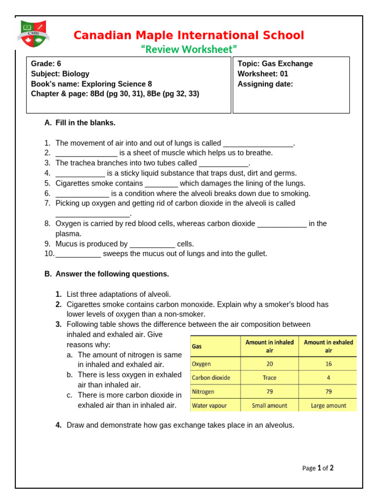 Gas Exchange Worksheet for Grade 6 Biology | PDF