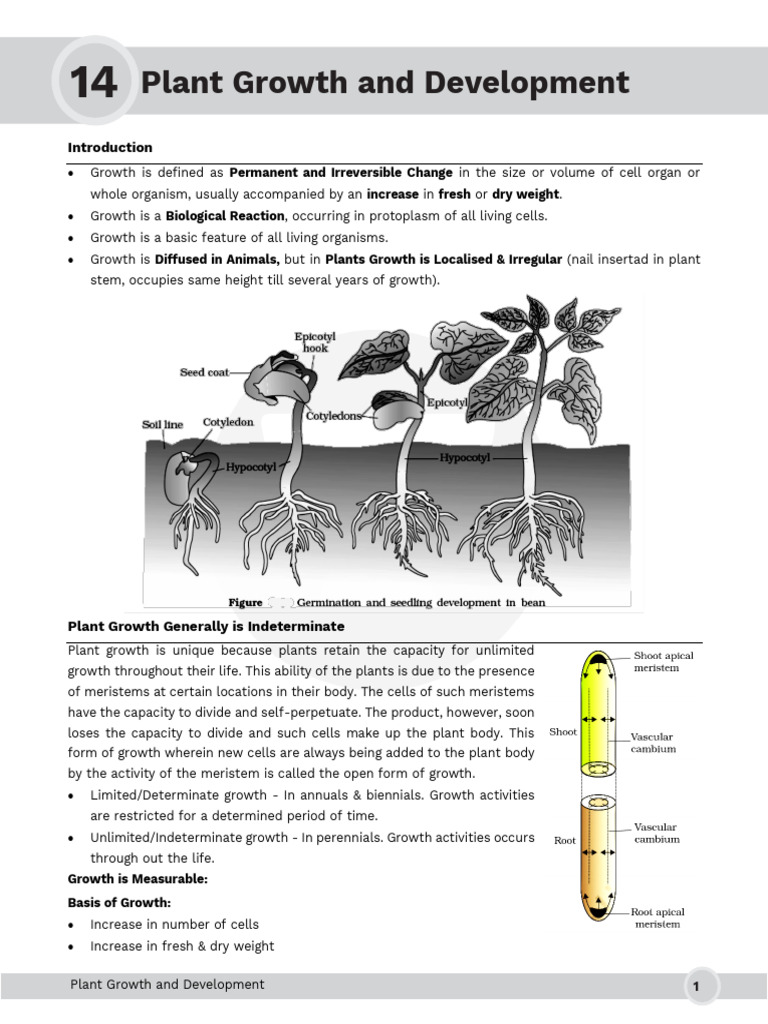 Understanding Plant Growth Dynamics | PDF | Plant Hormone | Auxin
