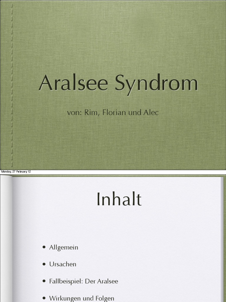 aralsee-syndrom-pdf
