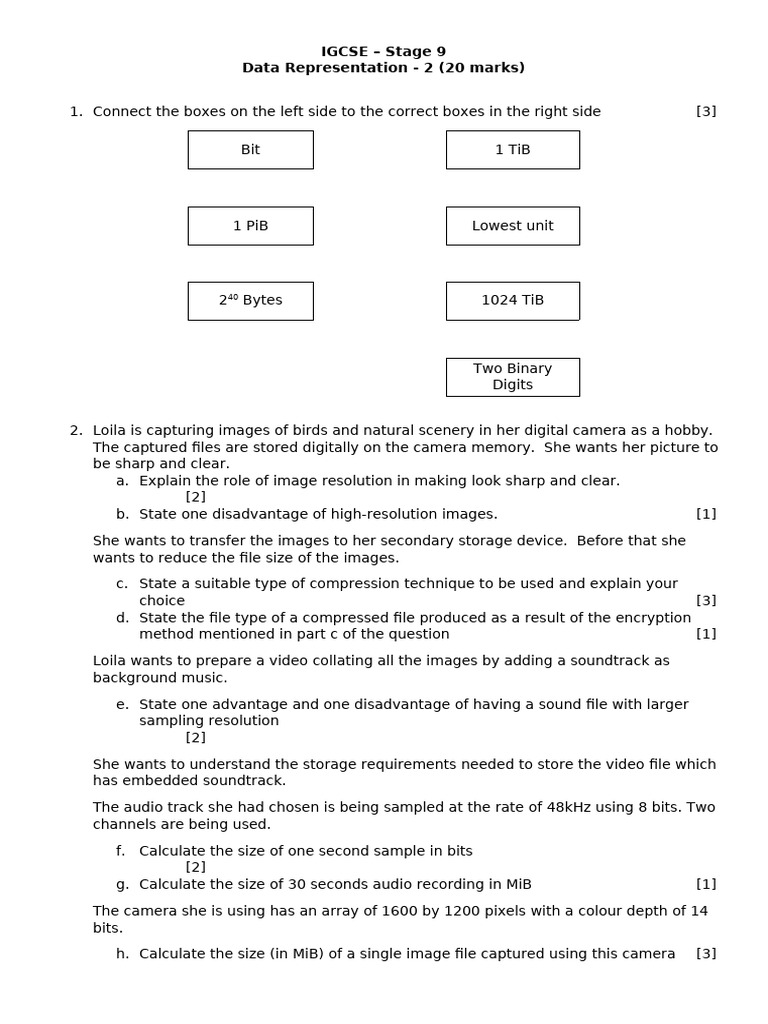 IGCSE Data Representation Stage 9 Guide | PDF | Byte | Bit