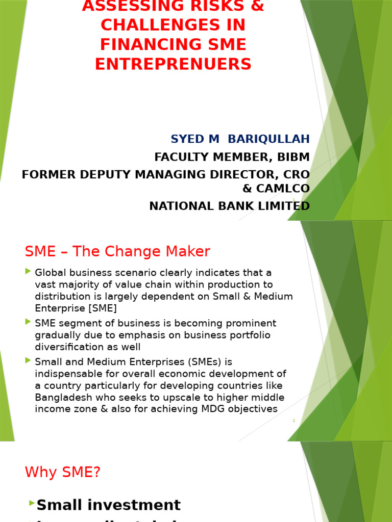 Risks in SME Financing Challenges | PDF | Entrepreneurship | Banks