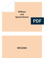 Reflexes and Special Senses