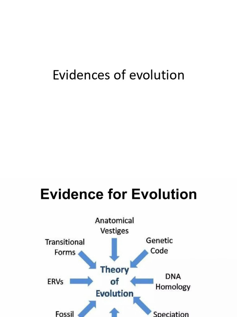 Key Evidence Supporting Evolution | PDF | Gene | Genetics