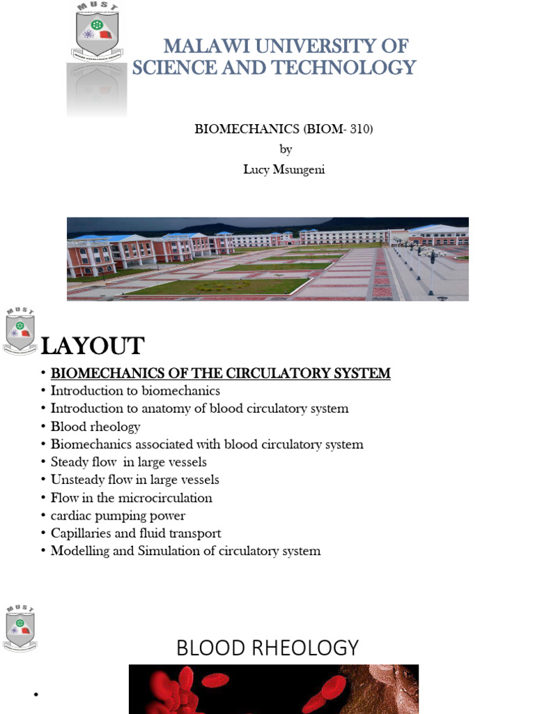 Biomechanics of Blood Circulation in Humans | PDF | Osmosis | Red Blood ...