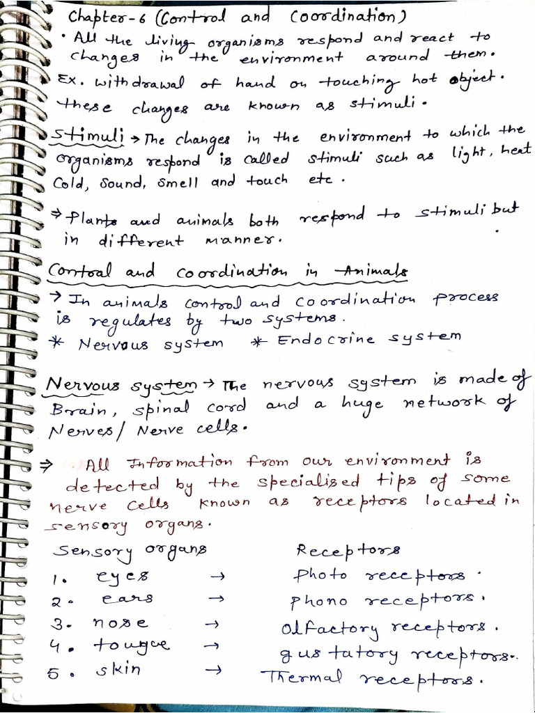 Control and Coordination Chapter 6 | PDF