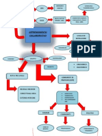 APPRENDIMENTO Collaborativo