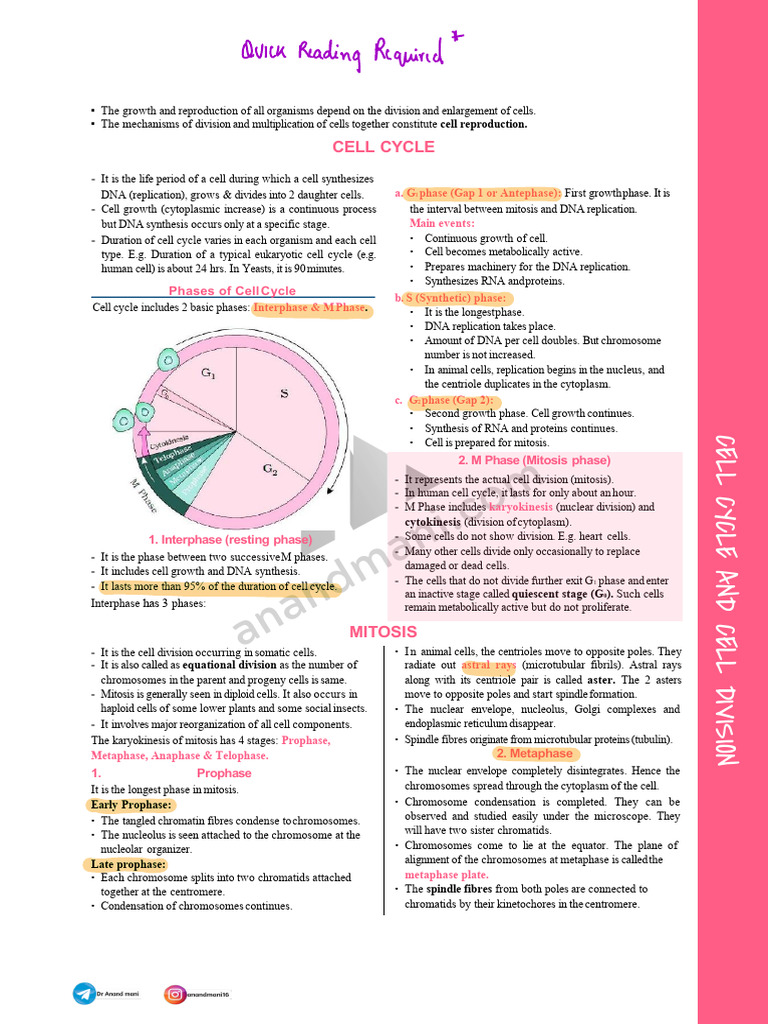 Cell Cycle and Division Explained | PDF | Meiosis | Mitosis