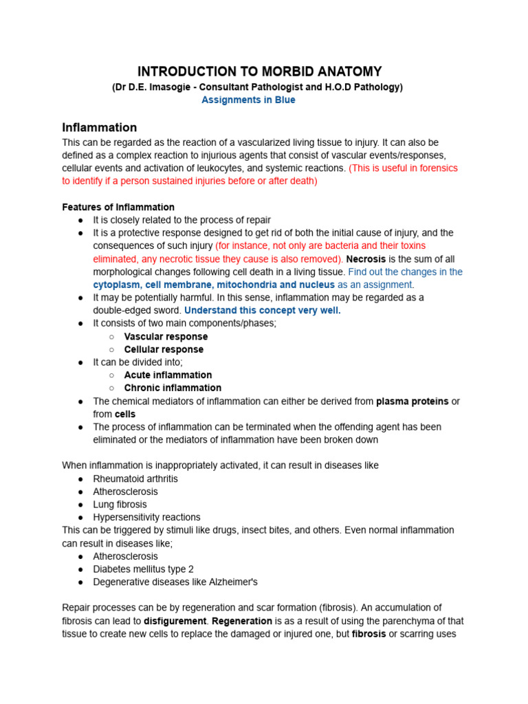 Inflammation: Key Concepts and Assignments | PDF | Inflammation ...