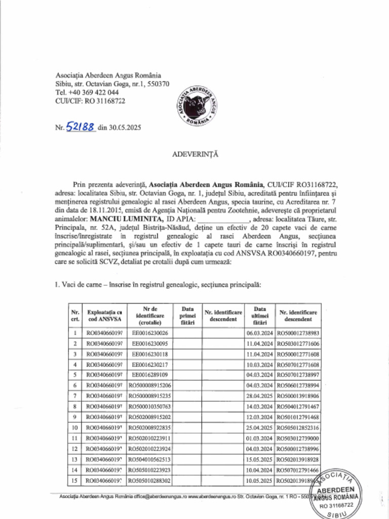 Manciu Luminita | PDF