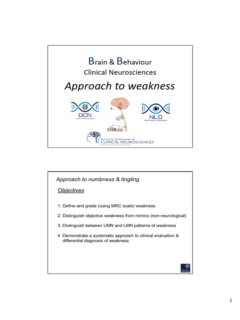 Systematic Approach to Weakness | PDF | Weakness | Brainstem