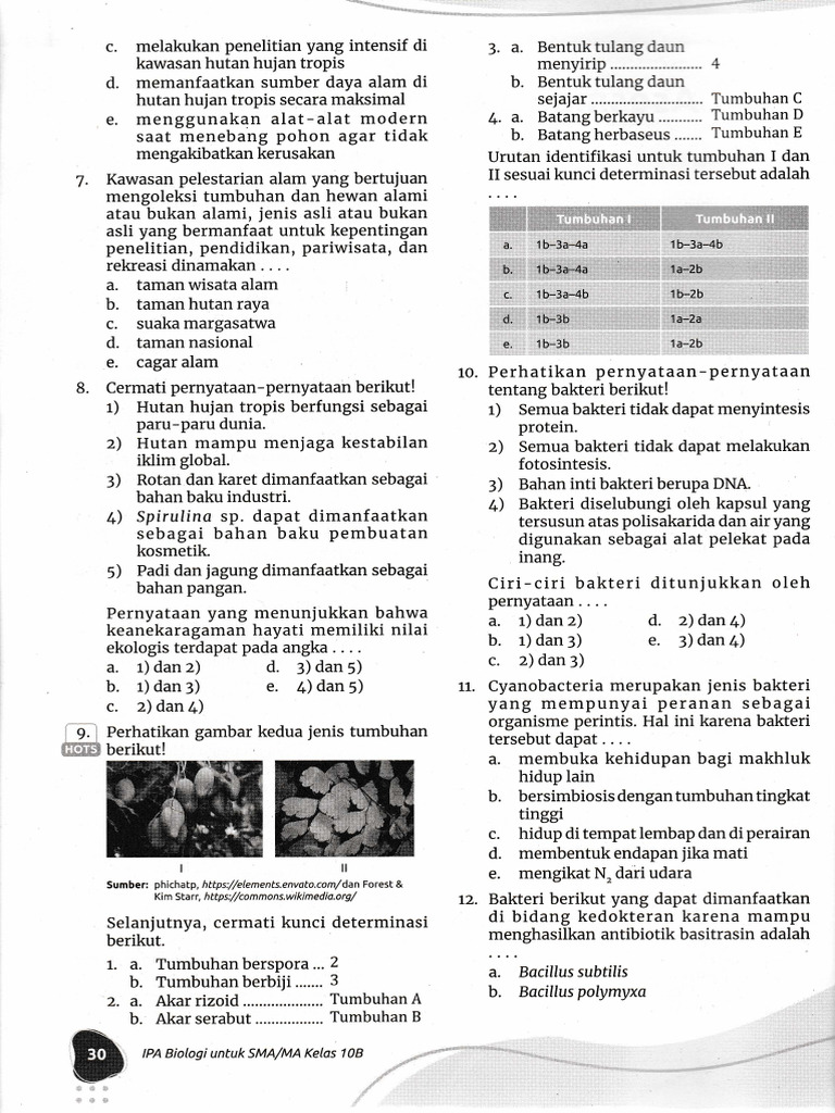 Untitled 31 | PDF