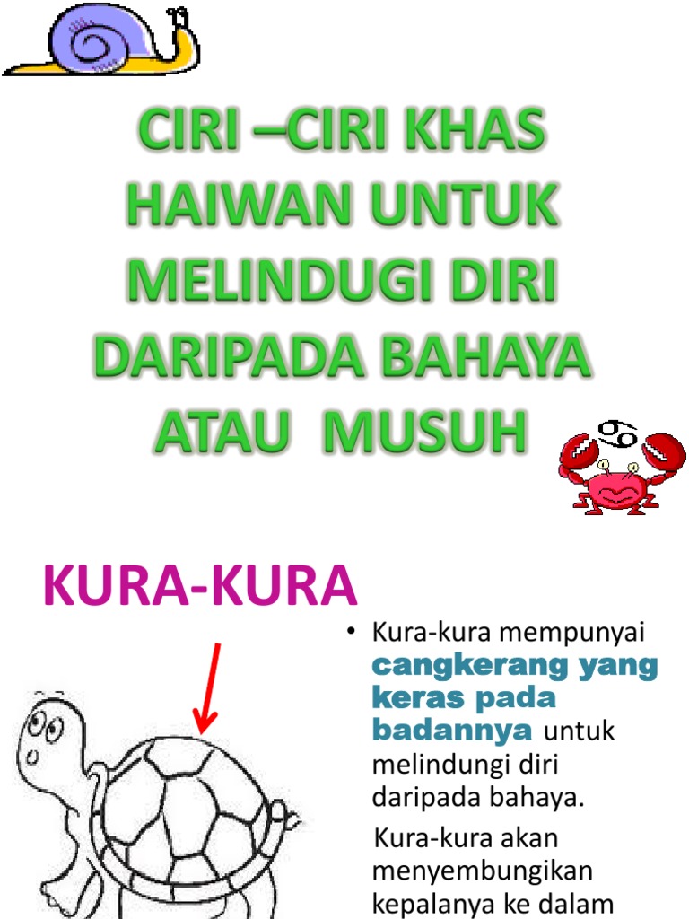 Ciri Ciri Khas Haiwan Untuk Melindugi Diri Pdf