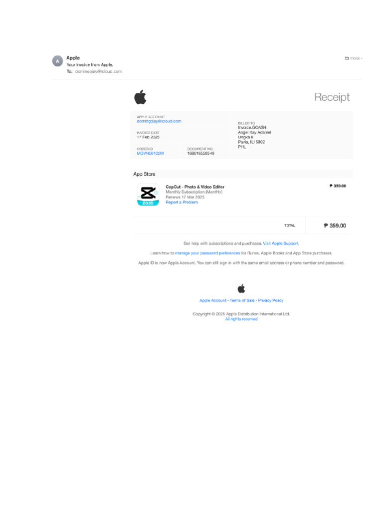 CapCut Receipt 2 | PDF