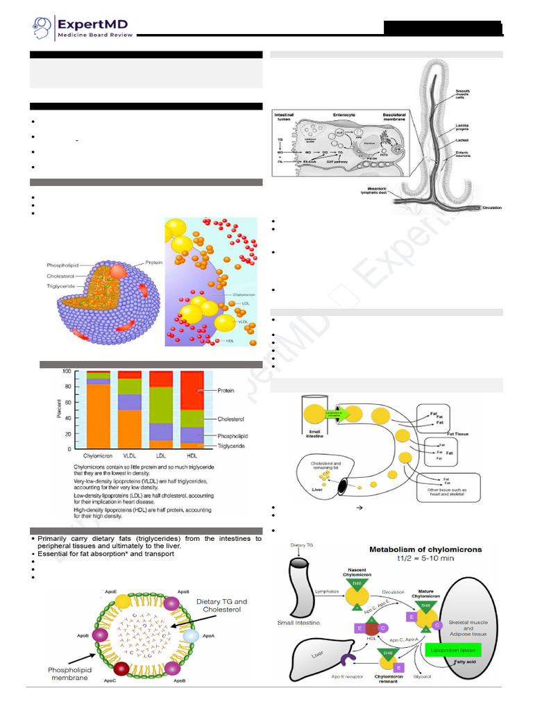 Lipid Metabolism and Transport Overview | PDF | Lipoprotein | Cholesterol