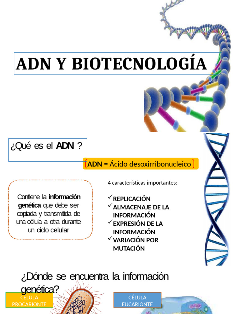 Adn Biologia | PDF | Adn | Nucleótidos