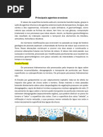 Erosão Hídrica e Formação de Ravinas | PDF | Erosão | Geomorfologia