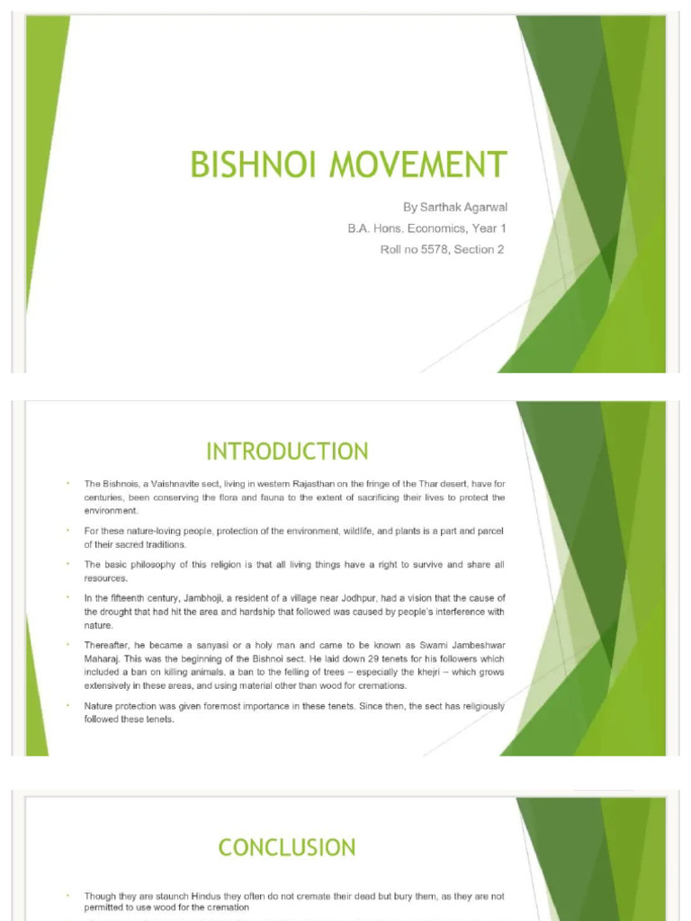 Untitled Presentation | PDF