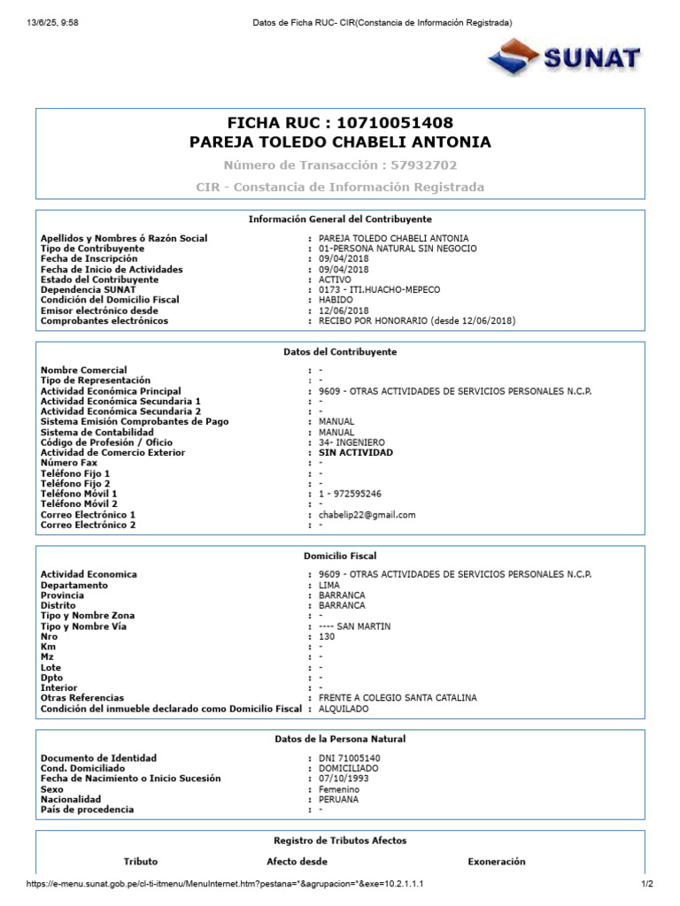 Ficha Ruc Chabeli | PDF