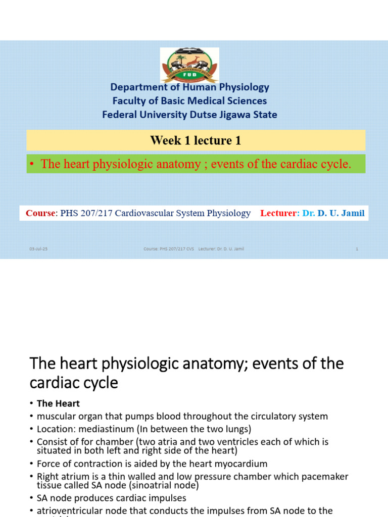 Cardiovascular Physiology Overview | PDF | Heart | Atrium (Heart)