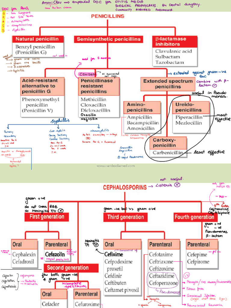 Antibiotic Guidelines for Infections | PDF | Microbiology | Antibiotics