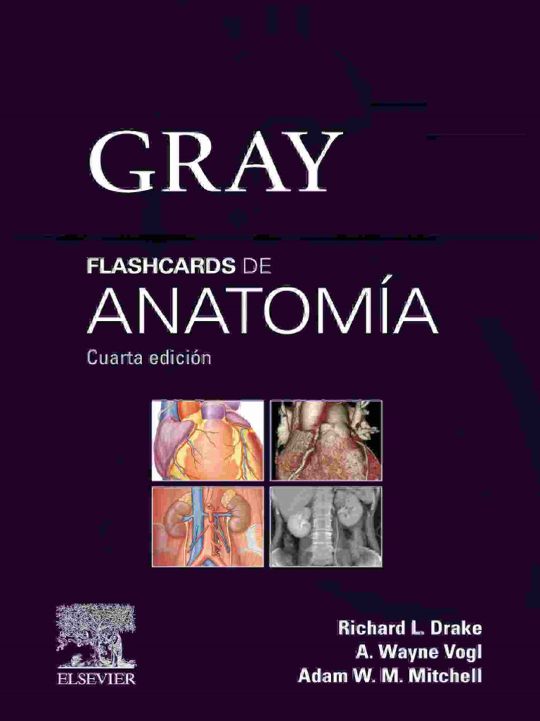 Acceso en línea a Flashcards de Anatomía | PDF | Vértebra | Abdomen