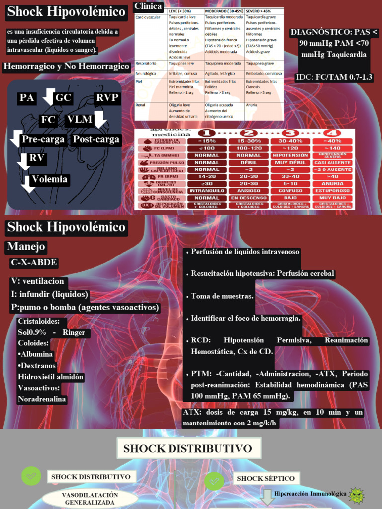 Manejo y Diagnóstico del Shock Hipovolémico | PDF | Emergencias Médicas ...