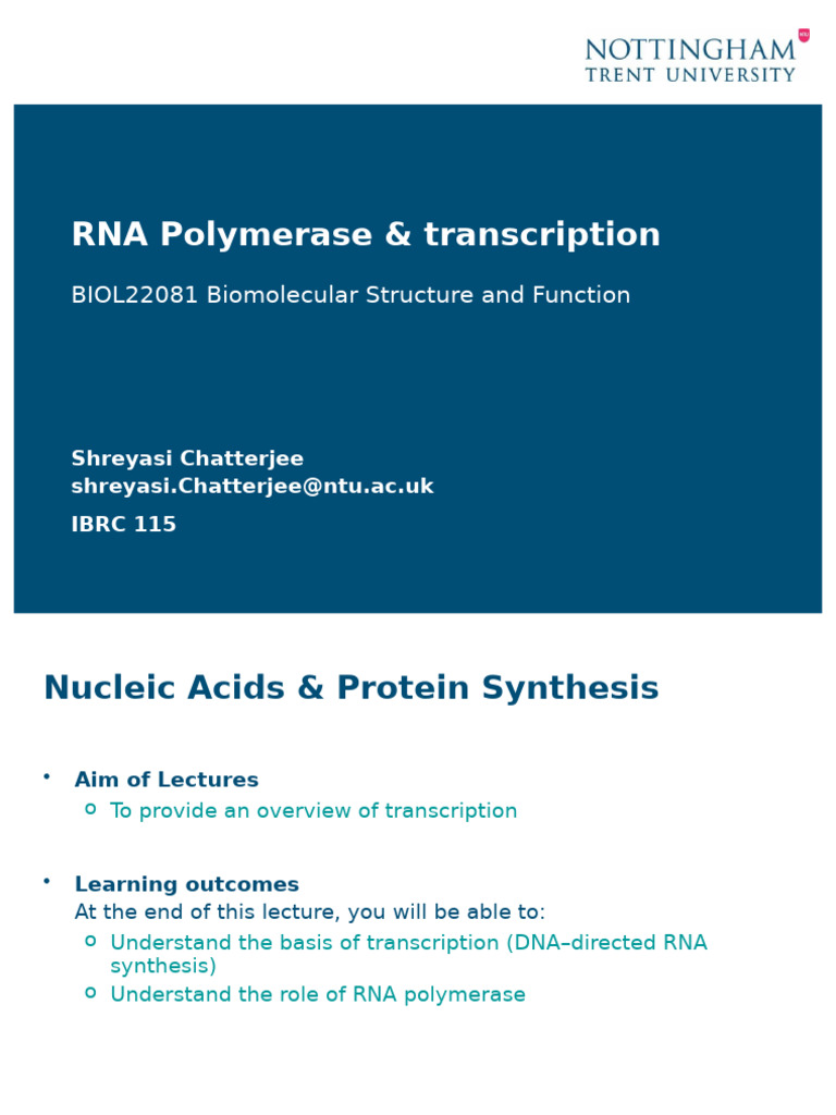 RNA Polymerase & Transcription Slides 2024 | PDF | Rna | Gene