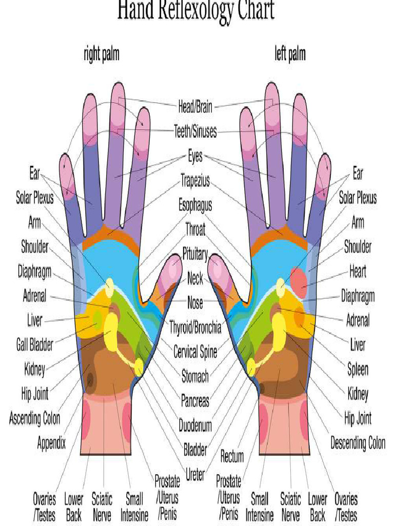 Hand Reflexology 1000x600 | PDF