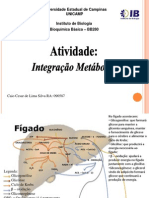 Bioquimica Metabolismo Integrado 09n 2