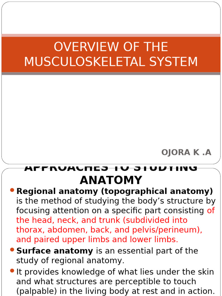 00 Musculoskeletal System | PDF | Skeleton | Muscle