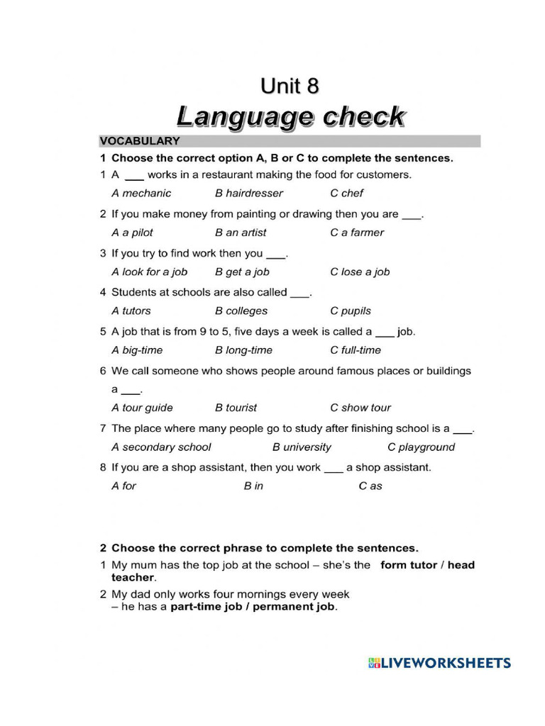 Language Unit 8 Wider World | PDF
