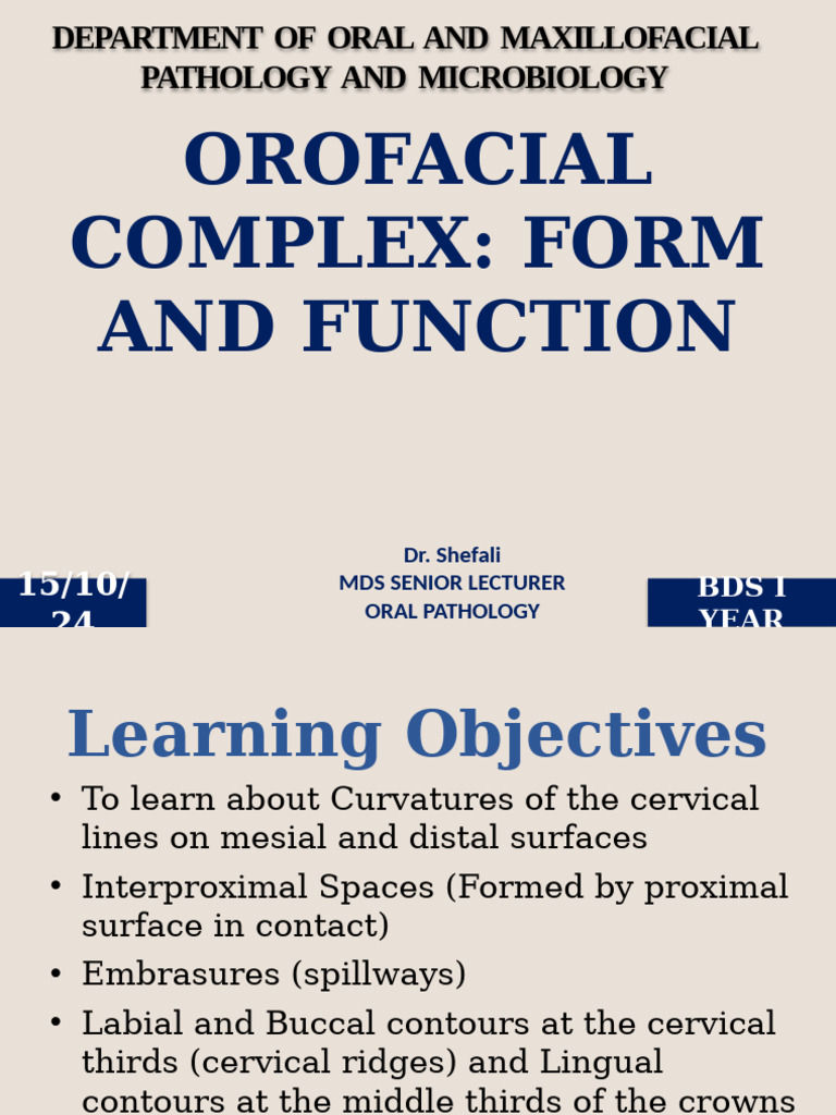 Orofacial Complex: Form & Function Guide | PDF | Dental Anatomy ...