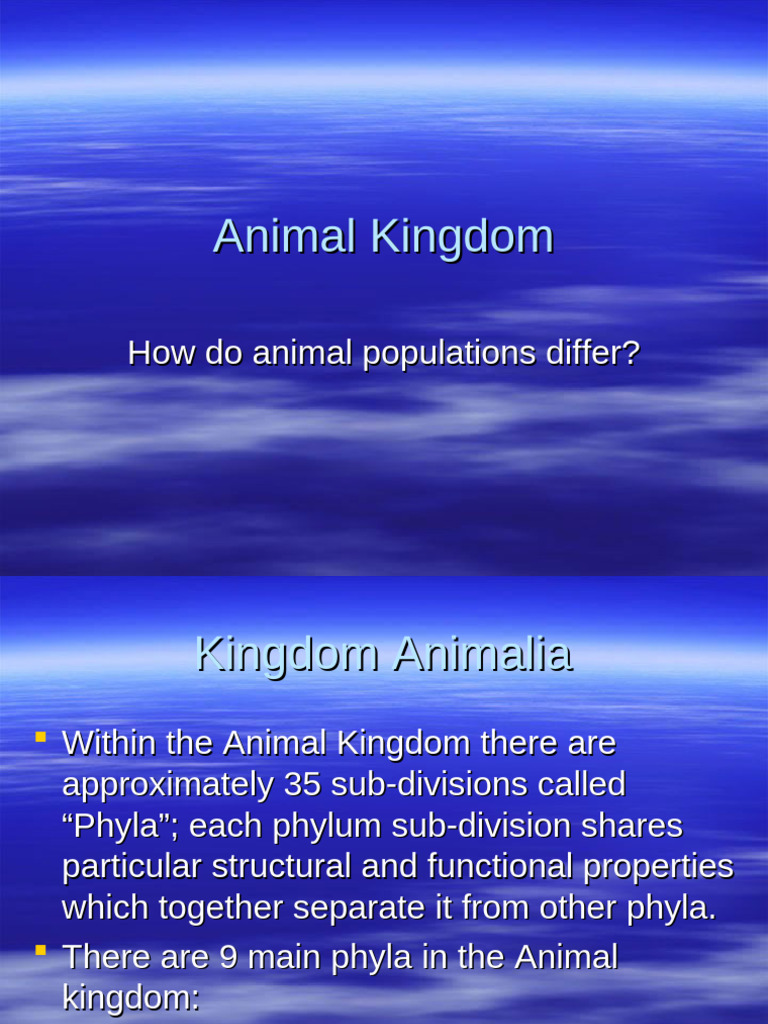 Learning Animal Kingdom Phyla | PDF | Sponge | Mollusca