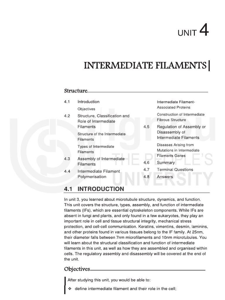 Unit 4 | PDF