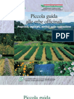 Piccola Guida Delle Erbe e Piante Medicinali