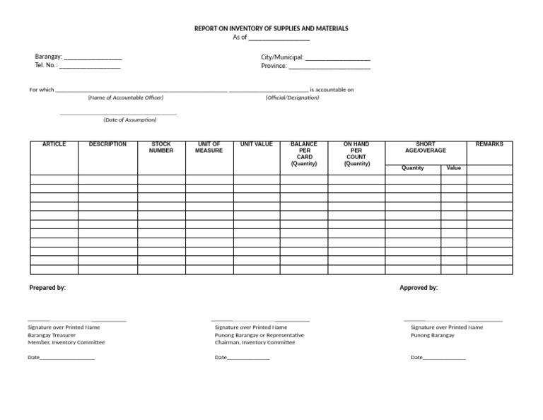 Report On Inventory of Supplies | PDF