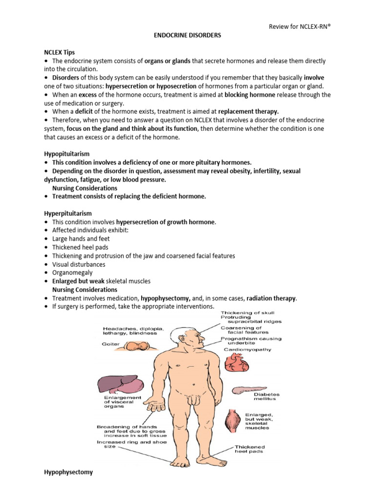 Endocrine Disorders NCLEX Review | PDF | Diabetes | Hyperglycemia