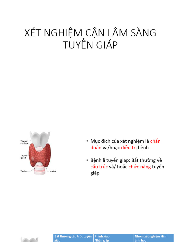 Xét Nghiệm Cận Lâm Sàng Tuyến Giáp | PDF