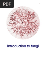 Download Fungi by llccdd SN8939467 doc pdf