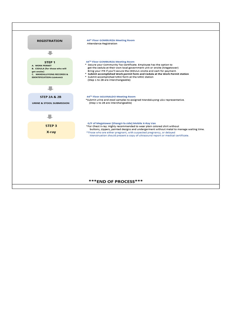 Mandaluyong Work Permit Process Guide | PDF