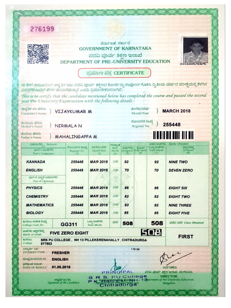PUC Marks Sheet | PDF